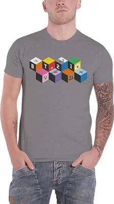 Obrázek produktu pro BT21 - Tričko pánské/dámské uni RO619 (S) (šedá)