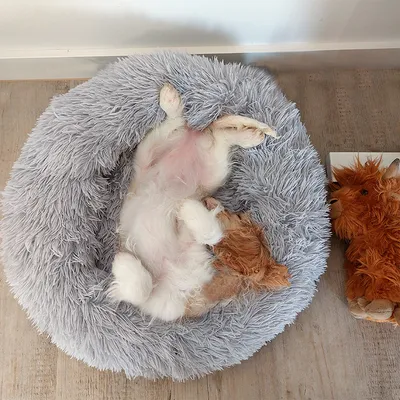 Produktbild von animal-design Kuschelbett AMY Plüschbett Nest flauschig Hundekissen Katzenbett, Größe:Größe 3
