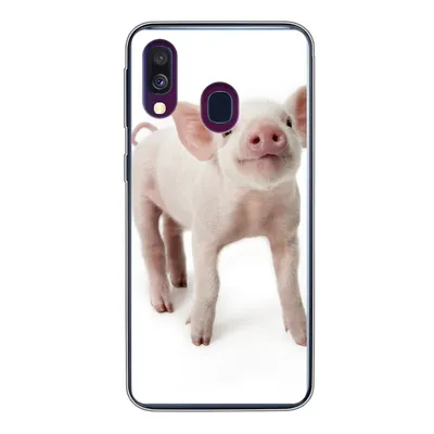 Produktbild von MuchoWow® Handyhülle Schutzhülle Hülle für Samsung Galaxy A40 Schwein - Tiere - Weiß Silikon Softcase Handy Hülle - Handy-Tasche