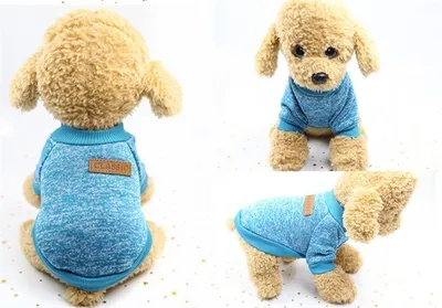 Immagine prodotto di Felpa per cani - Blu XS