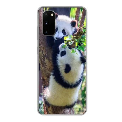 Produktbild von MuchoWow® Handyhülle Schutzhülle Hülle für Samsung Galaxy S20 Pandas - Baum - Natur Silikon Softcase Handy Hülle - Bild