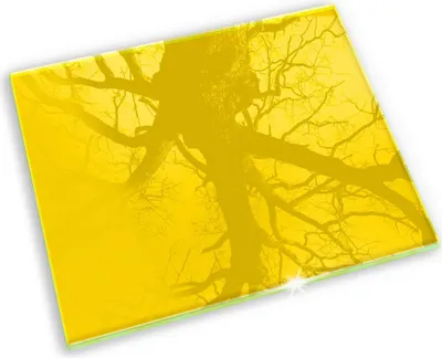 Produktbild von Grabkerze Untersetzer Glastafel Gummifüße Motiv - 60x52 cm - Gelb