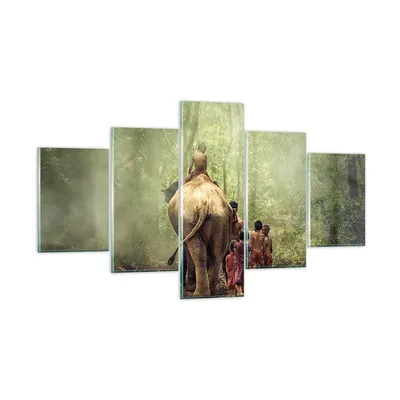 Produktbild von Bilder auf glas - Elefant Dschungel Nebel - 125x70cm - Glasbilder - Wandbilder - Kunstdruck - zum Aufhängen bereit - Wanddekoration aus Glas - Glas Bilder - Wandbild auf Glas - GEA125x70-3438
