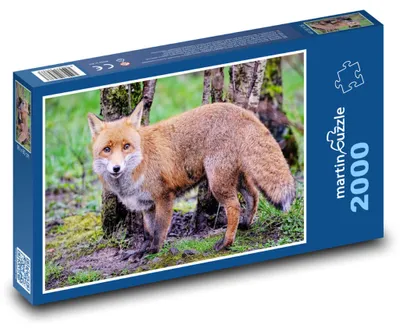 Obrázek produktu pro Puzzle 2000 Liška v lese - martinpuzzle