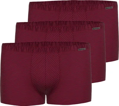 Produktbild von Ammann 3er Pack Baumwolle & More Retro Short / Pant Klassische Schnittform, Angenehm auf der Haut, In feiner Ringeloptik