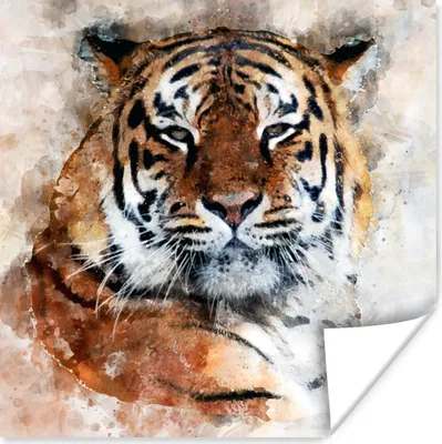 Produktbild von MuchoWow® Poster Tiger - Gemälde - Orange 75x75 cm - Wand Dekoration
