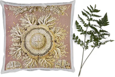 Produktbild von MuchoWow® Zierkissen Sofakissen Wohnzimmer Dekokissen 50x50 cm Jahrgang - Ernst Haeckel - Qualle - Kunst - Komfort - Sofakissen