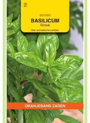 Imagen del producto de Oranjeband: Semillas de albahaca para hierbas aromáticas, grano grueso - 1 paquete de semillas