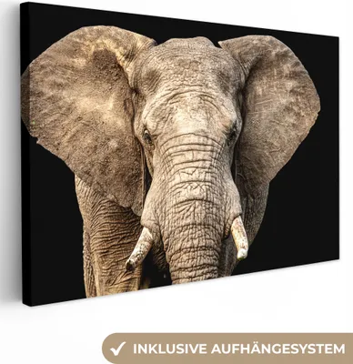 Produktbild von OneMillionCanvasses® - Leinwandbilder - 150x100 cm, Elefant - Porträt - Schwarz, Wandbilder Kunstdruck Wanddekoration