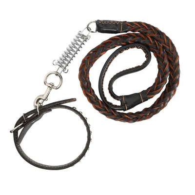 Immagine prodotto di Collari e guinzagli per cani, guinzaglio da passeggio per cani, collare per cani, guinzaglio anti-perso per animali domestici, set di collari e guinzagli per animali domestici, guinzaglio per cani con molla