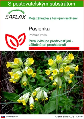 Obrázok produktu pre SAFLAX - pasienka - Primula veris - 100 Semená - S pestovateľským substrátom bez klíčkov