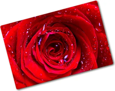 Produktbild von Tulup Glas Herdabdeckplatte - 80x52 cm - Glaskeramikkochfeld-Abdeckung Spritzschutz Glasabdeckplatte - Einteilig - Blumen & Pflanzen - Rose Blume - Rot