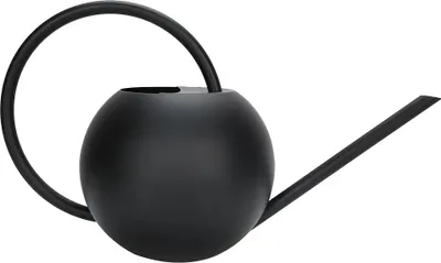 Image de 1L Stainless Steel Practical Long Mouth Watering Cans Household Houseplant Pot Bottle Watering Device