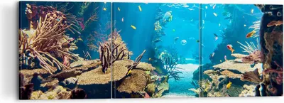 Produktbild von Bild auf Leinwand - Leinwandbild - Ozean Riff Fische Koralle - 120x40cm - Wand Bild - Wanddeko - Leinwanddruck - Bilder - Kunstdruck - Wanddekoration - Leinwand bilder - Wandkunst - CA120x40-2872