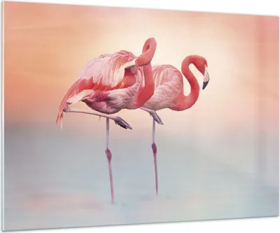 Produktbild von Bilder auf glas - Einteilig - Flamingos Exotik Vögel - 100x70cm - Glasbilder - Wandbilder - Bilder - zum Aufhängen bereit - Wanddekoration aus Glas - Glas Bilder - Wandbild auf Glas - GAA100x70-5044