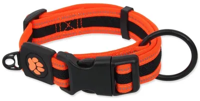 Zdjęcie produktu dla Obroża Active Dog Fluffy S pomarańczowa 2x27-41cm