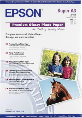 Zdjęcie produktu dla Epson Premium Glossy Photo Paper, DIN A3+, 250g/m², 20 Arkuszy, Druk atramentowy, A3+ (330x483 mm), Połysk, 20 ark., 250 g/m², 345 mm