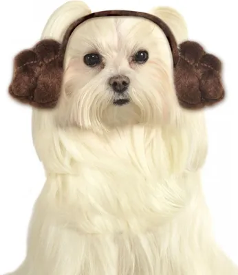 Produktbild von Star Wars Prinzessin Leia Haarreif für Hunde Größe: S/M