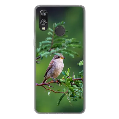 Produktbild von MuchoWow® Handyhülle Schutzhülle Hülle für Huawei P20 Lite (2020) Vogel - Baum - Wald Silikon Softcase Handy Hülle - Kartenhalter