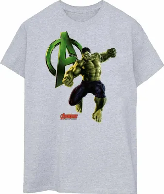 Produktbild von Hulk - T-Shirt für Herren BI454 (XL) (Grau)