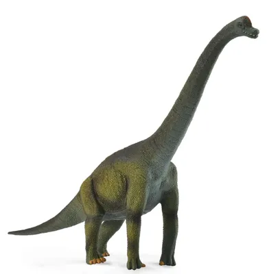 Produktbild von CollectA – col88121 – brachiosaures – Größe L