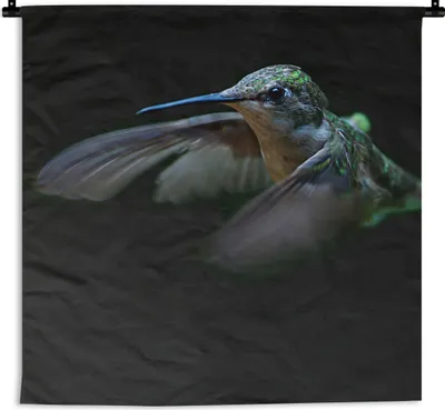 Produktbild von MuchoWow® Wandteppich Wandbehang Kolibri - Vogel - Grün 150x150 cm Tapisserie Dekoration Wandtuch - Wohnaccessoires - Modernes