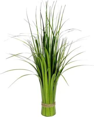 Image de Bouquet d'herbe pour la décoration - 1 pièce - Vert - 62 x 40 x 40 cm