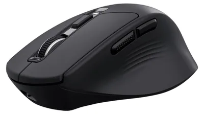 Image de Trust Niven, pour droitiers, sans fil RF + Bluetooth, 3200 DPI, noir