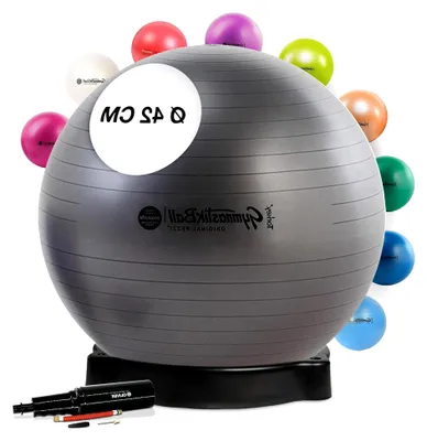 Produktbild von Pezzi Ball MAXAFE 42 cm anthrazit mit Ballschale und Pumpe