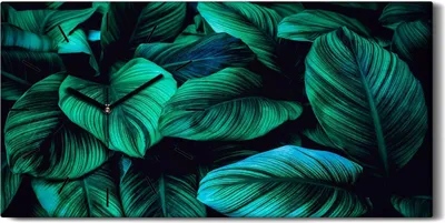 Produktbild von Leinwand Uhr Küche Wohnzimmer Bild 60x30 Gemälde Blumen Blätter Pflanzen Kunst - schwarze Hände