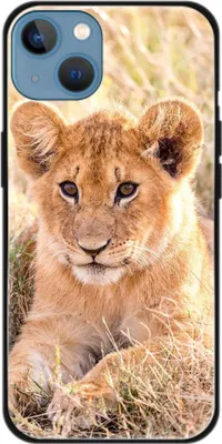 Produktbild von König Design Hülle kompatibel mit Apple iPhone 13 Kunststoff Soft Handyhülle - Handy Case Löwen Baby