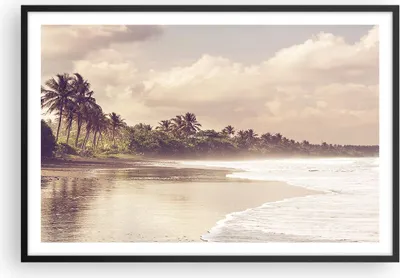 Produktbild von Gerahmtes Poster - Schwarzer Rahmen - Palmen Strand Wasser - 91,5x61 cm - Wand Bild - Wanddeko - Wandbilder - Kunstposter - Wandposter - Bilderrahmen - Bilder - Kunstdruck - P2BAA91x61-4917