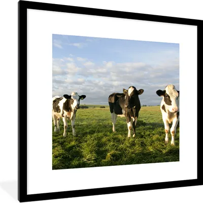 Produktbild von MuchoWow® Gerahmtes Poster Kühe - Sonne - Tiere 40x40 cm - Poster mit Schwarzem Bilderrahmen Wandposter Rahmen Foto Bilder - Poster - Plakat im Rahmen