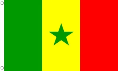 Senegal-Flagge, 90 x 60 cm, Polyester mit Ösen