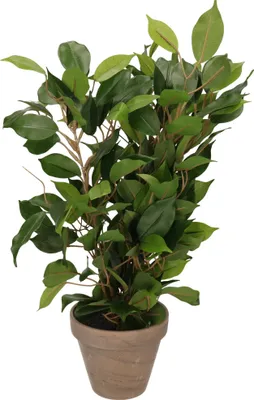 Immagine prodotto di Mica Decorations Ficus Natasja pianta artificiale in vaso Stan - H40 x Ø30 cm - Verde