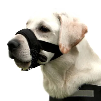 Produktbild von Maulkorb um Hunde vom Beisen, Bellen, anpassbare Schlinge