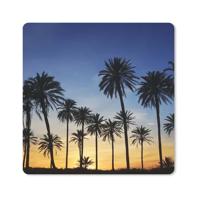 Produktbild von MuchoWow® Mauspad Mousepad Palme - Natur - Strand - Sonne - Nacht 20x20 cm - Mousepads - Maus Mat - Pad - Mausunterlage - Desk Mat - Bureauartikeln