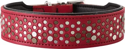 Produktbild von Hunter Halsband Basic Rivellino 50 rot/schwarz, Größe:50, Farbe:rot/schwarz