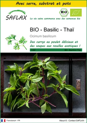 Image de SAFLAX Ensemble de culture -- Basilic - Thaï - 250 graines - Ocimum