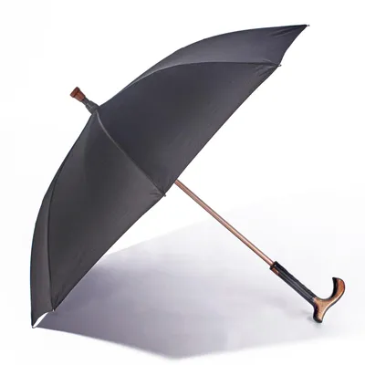 Produktbild von Gehstock mit Regenschirm Ø 97 cm Spazierstock Gehhilfe mit Schirm Laufhilfe Stockschirm