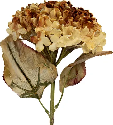 Immagine prodotto di Fiore artificiale Clayre & Eef 15x15x47 cm Plastica gialla