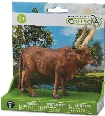 Image de Taureau Ankole-Watusi