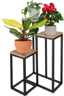Three plant stands of varying heights, each holding a potted plant, arranged against a white background.