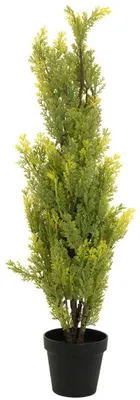 Zdjęcie produktu dla EUROPALMS Cyprys, Leyland, sztuczna roślina, 90 cm