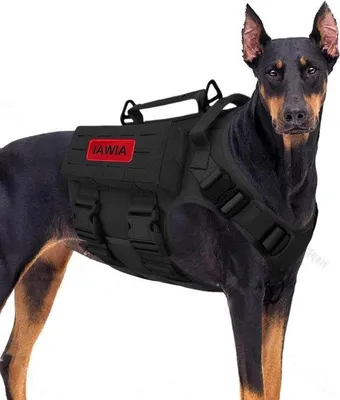 Produktbild von Hundestreuer mit Greifhandel - Trainings- und Freilauffußgurt - Doppelkopf-Metallsporn - Größe L - Schwarz