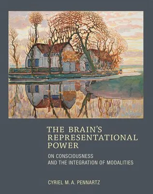 Produktbild von The Brain's Representational Power