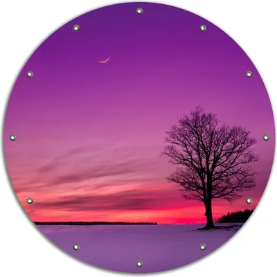 Produktbild von Wallario rundes Outdoor-Poster für Garten oder Balkon, Motiv Mond und Baum am Abend bei Schnee, 90 cm Durchmesser