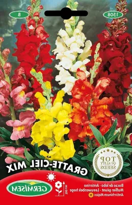 Image de Petit mélange de graines de muflier, 1 g