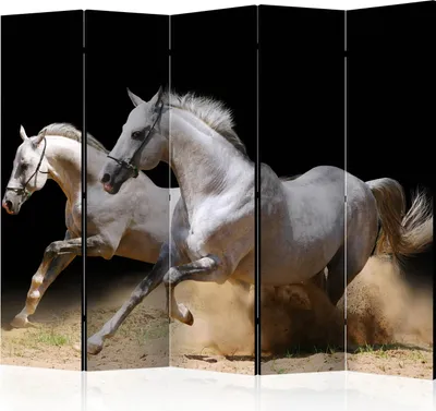 Obrázek produktu pro Oboustranný paraván Animals 225x172 cm 5dílný černý