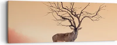Produktbild von Bild auf Leinwand - Leinwandbild - Hirsch Baum Nebel Wald - 90x30cm - Wand Bild - Wanddeko - Leinwanddruck - Bilder - Kunstdruck - Wanddekoration - Leinwand bilder - Wandkunst - AB90x30-3127